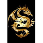 Goldendragonplays on YT