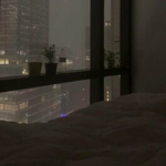 nights in new york’