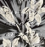excelsty ~ Group Thumbnail