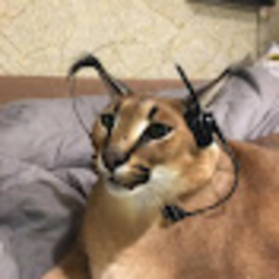 When The Doom Music Kicks In