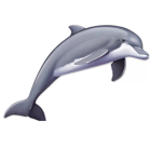 Dolphin go
