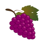 Grape Headquarters.