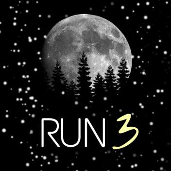RUN 3