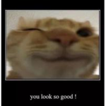 im gonna break my monitor i swer!