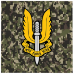 Special Air Service, 22 Squadron