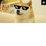 Doge fan group +_+