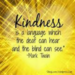 the kindess and nice group