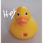 -Silly duck group-