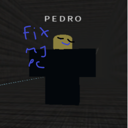 Pedro's Computer
