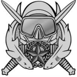 Arctic Assualt Force