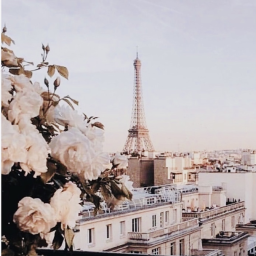 𝓅𝒶𝓈𝓈𝓅𝑜𝓇𝓉