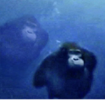 monke and bana group