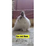 Les chugs