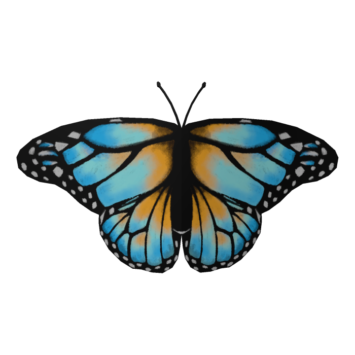 Blue-Yellow Butterfly Face