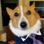 Dog Squad Group Thumbnail