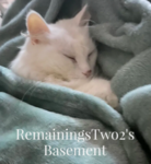 RemainingsTwo2's Basement