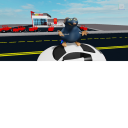 mcdollnes