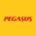 Pegasus Airline Rblx