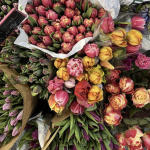 Ultimate Flowers