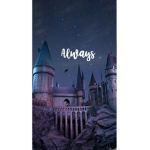 Harry Potter fans :D ...