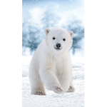 Polar Cuties !!!