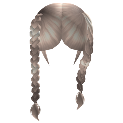♡ Dainty Double Braids (Platinum) Roblox item