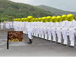 The Gravy Navy