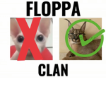 Floppa clan