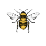 Save the bees fan group/ squad