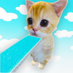 Swim to El Gato