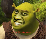 The Shrekrooms fan group
