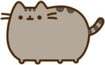 pusheen is the best!