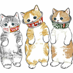 Mr cat’s Kittens