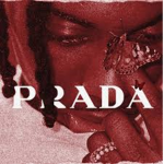 AestheticPrada