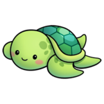 The Turtle FAN GROUP!!!!!!