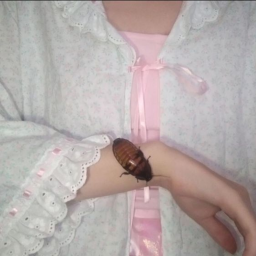 ♡