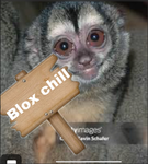 Blox chill