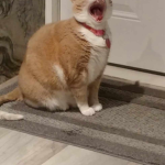 Gmhfjgyfhjgfhjvncghfdfbvbfugfvghfhyjfhtfftucudfgdf