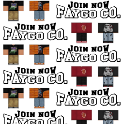 Faygo Co.'s HomeStore V.5