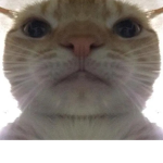 •-.