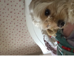 Strawberrys xo