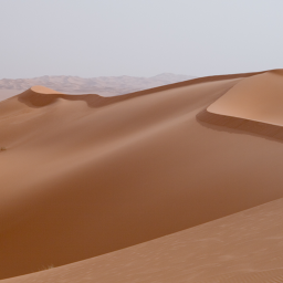 Dry Land