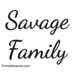 Savage 11