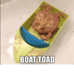 Boat Toad Cult