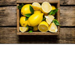 LEMON DROP <3