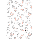 Rabbit team!!
