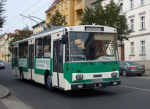 Trolleybus Experience