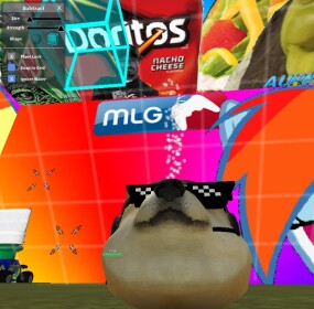 MLG PLAYGROUND 2.0