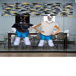 Meeting