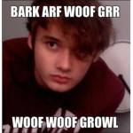 Dream smp group (cringe group)